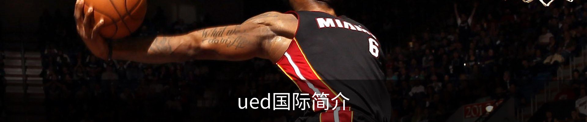 ued国际简介